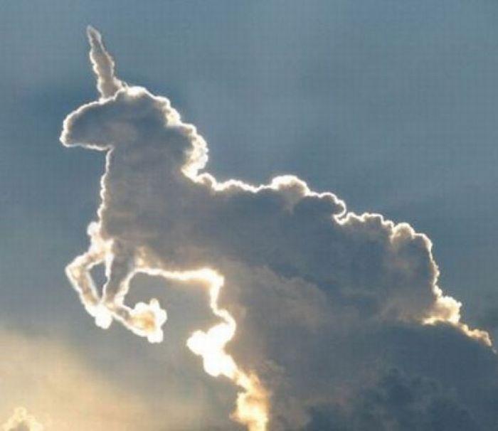 0xDEAD Unicornz Ascending to a Cloud