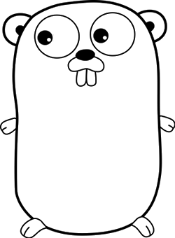 Few Notes on Local Golang Environment Configuration