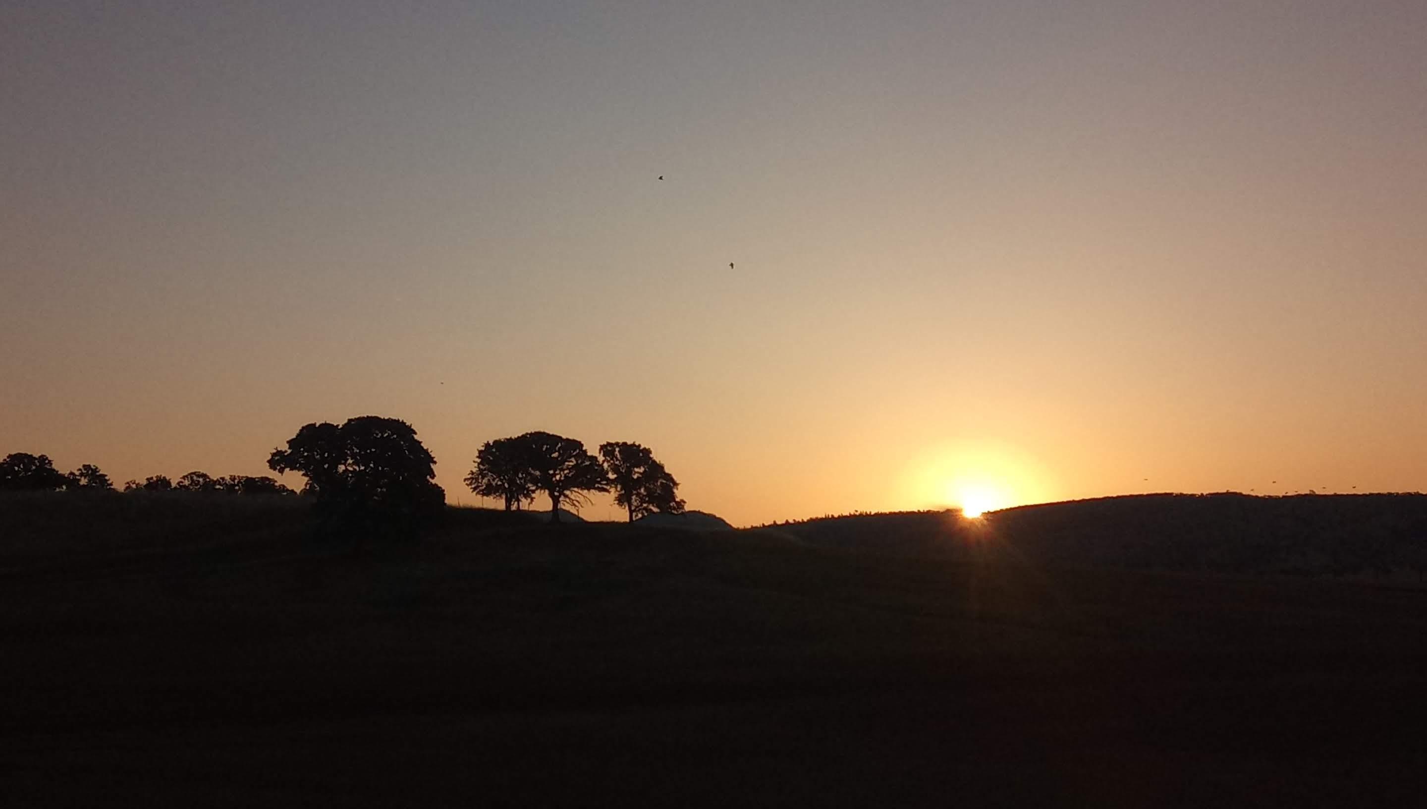 Rising sun near Red Bluff