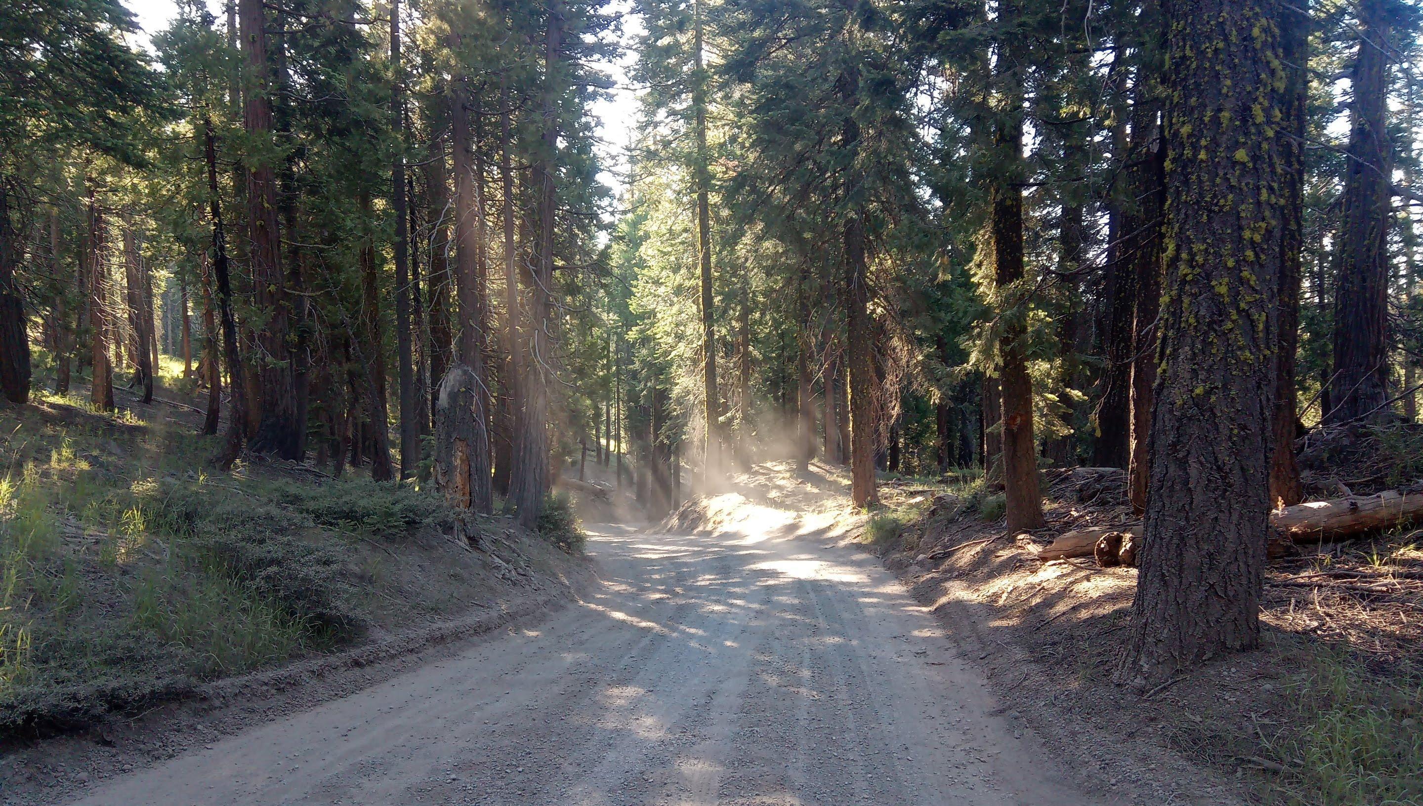 The road is unpaved but there are no ruts. This is the steepest stretch