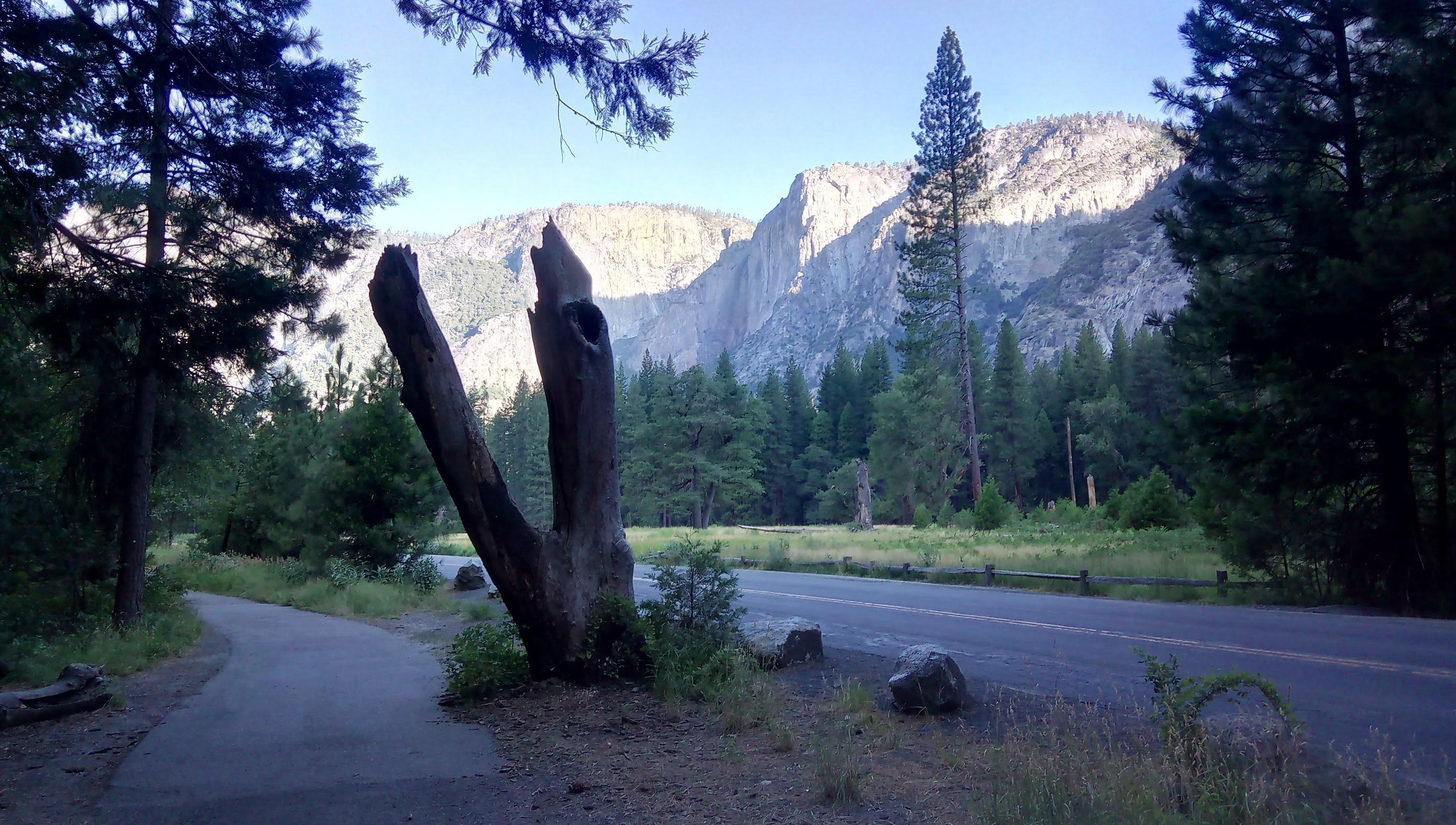 Yosemite valley in the morning