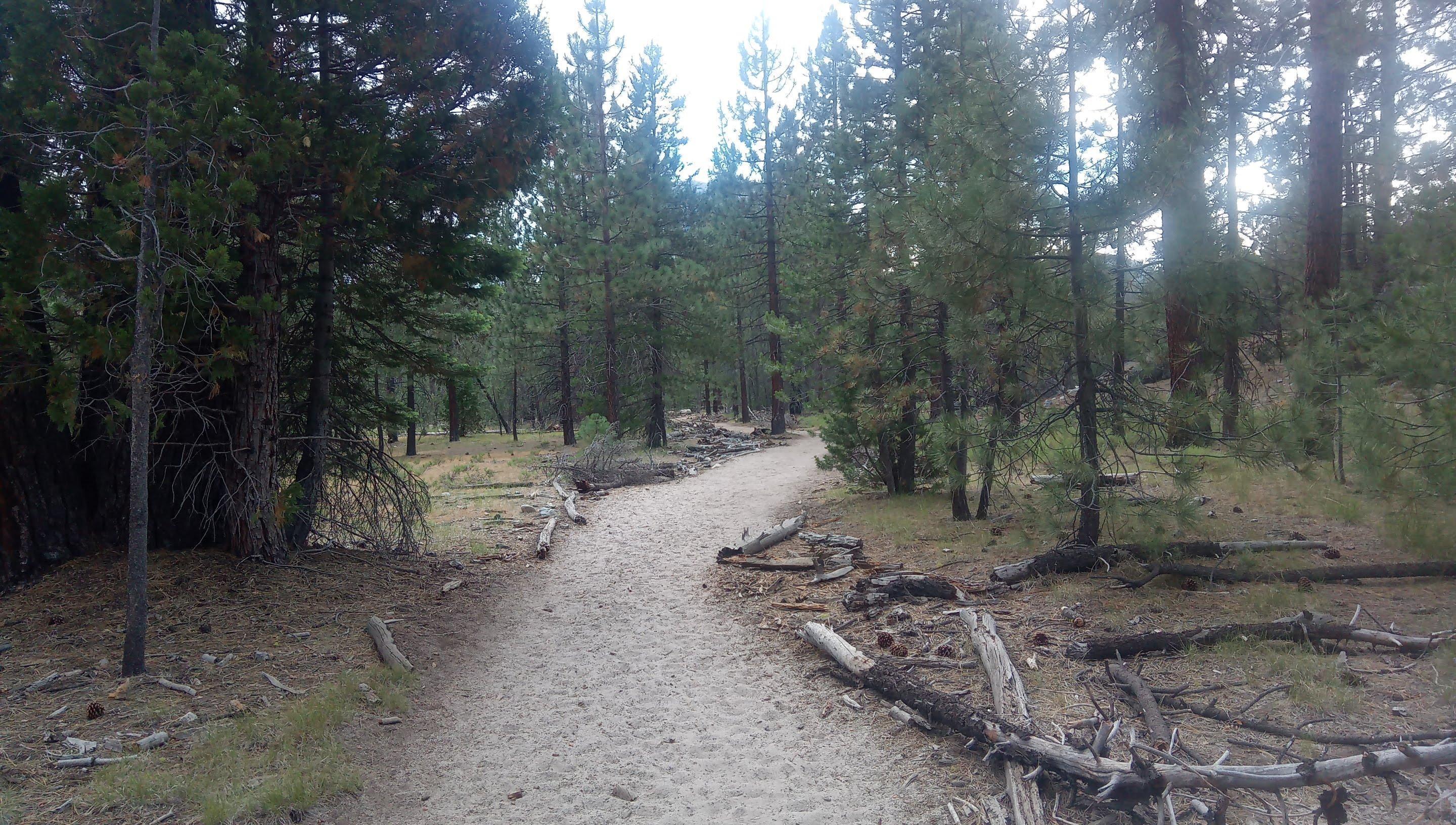 On the trail to Nevada fall