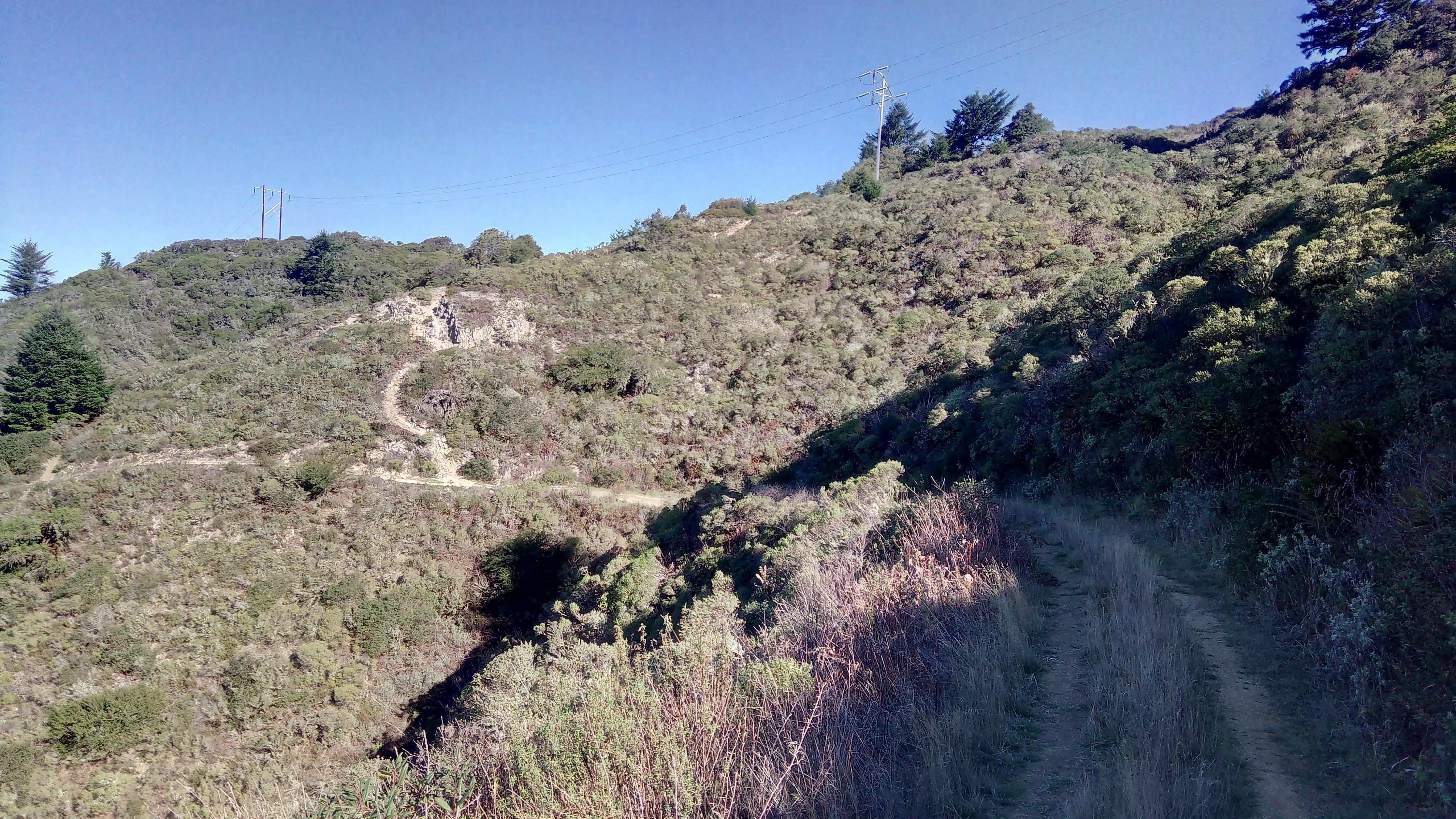 Spine ridge trail