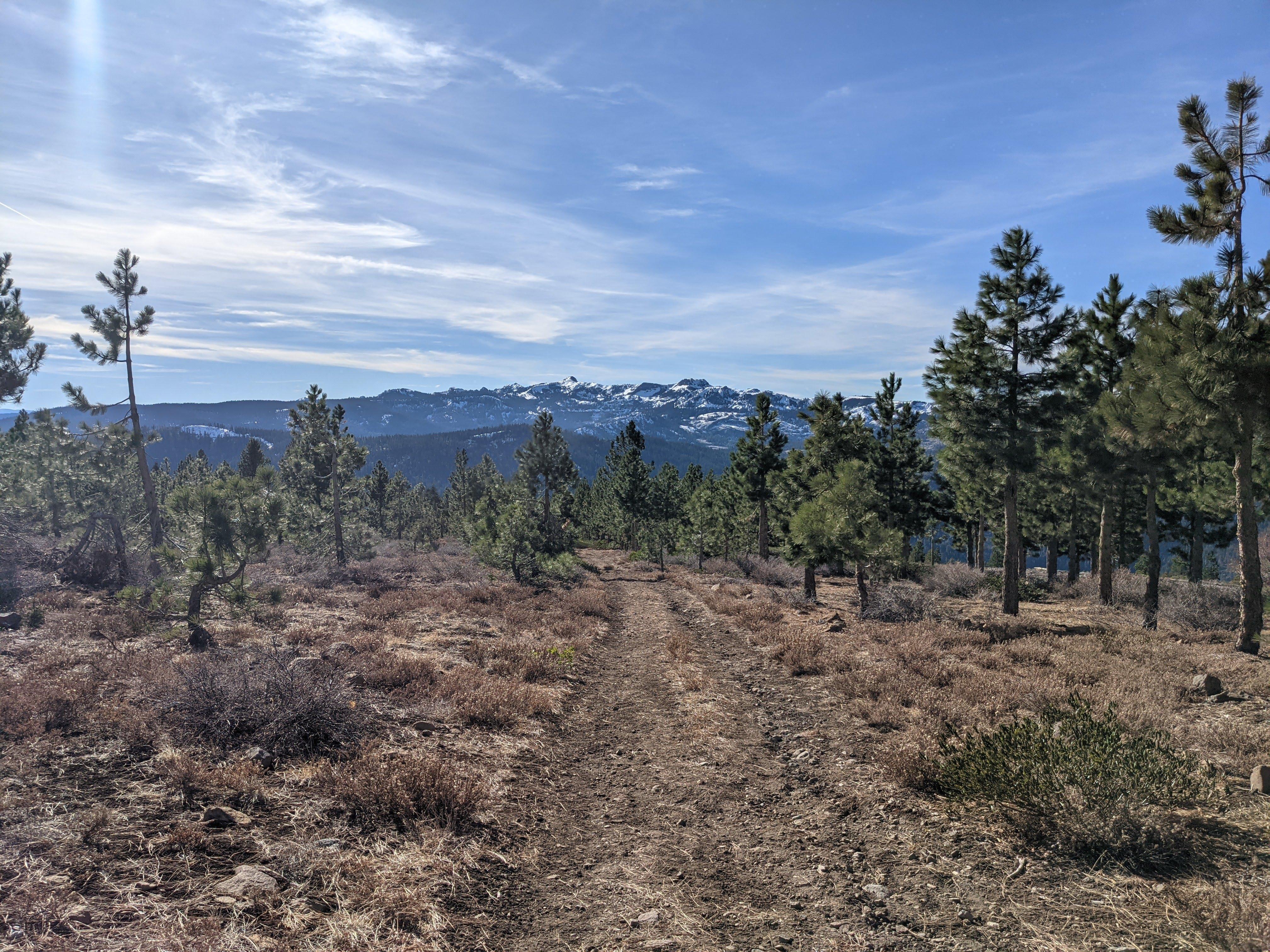 Donner Ridge was free from snow