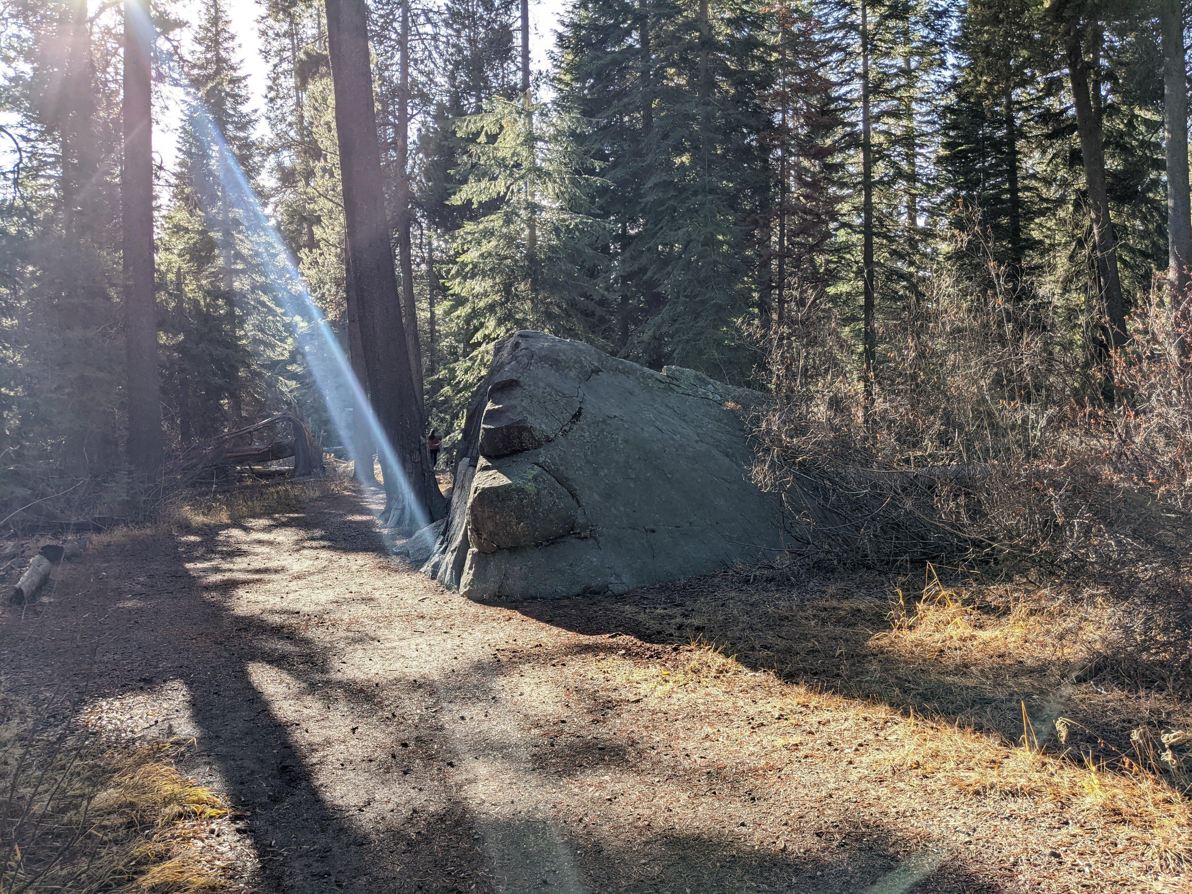 This rock formed the back wall and the fireplace of Eddy-Murphy cabin. Remains of the pioneers who perished in the camp were interred here in 1847