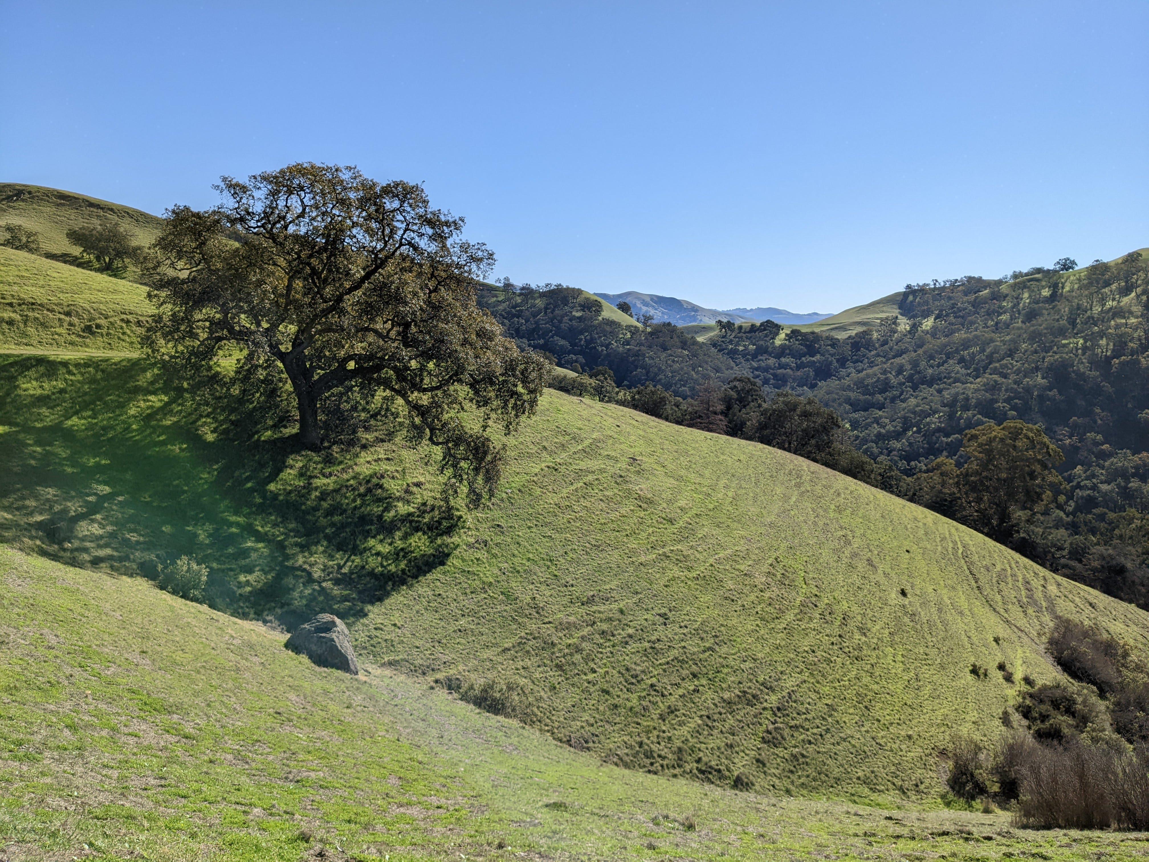 As you climb from the gorge views of Sunol wilderness start to open up