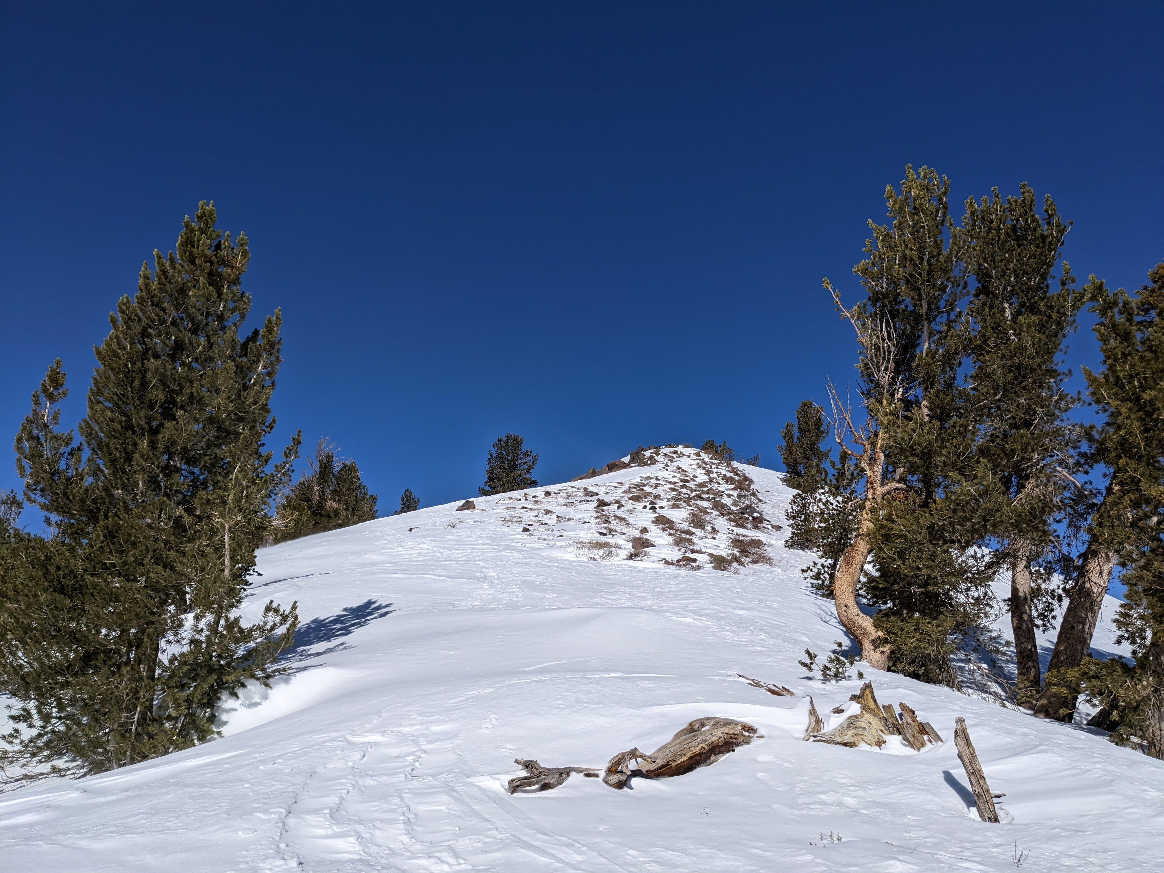 On the ridge