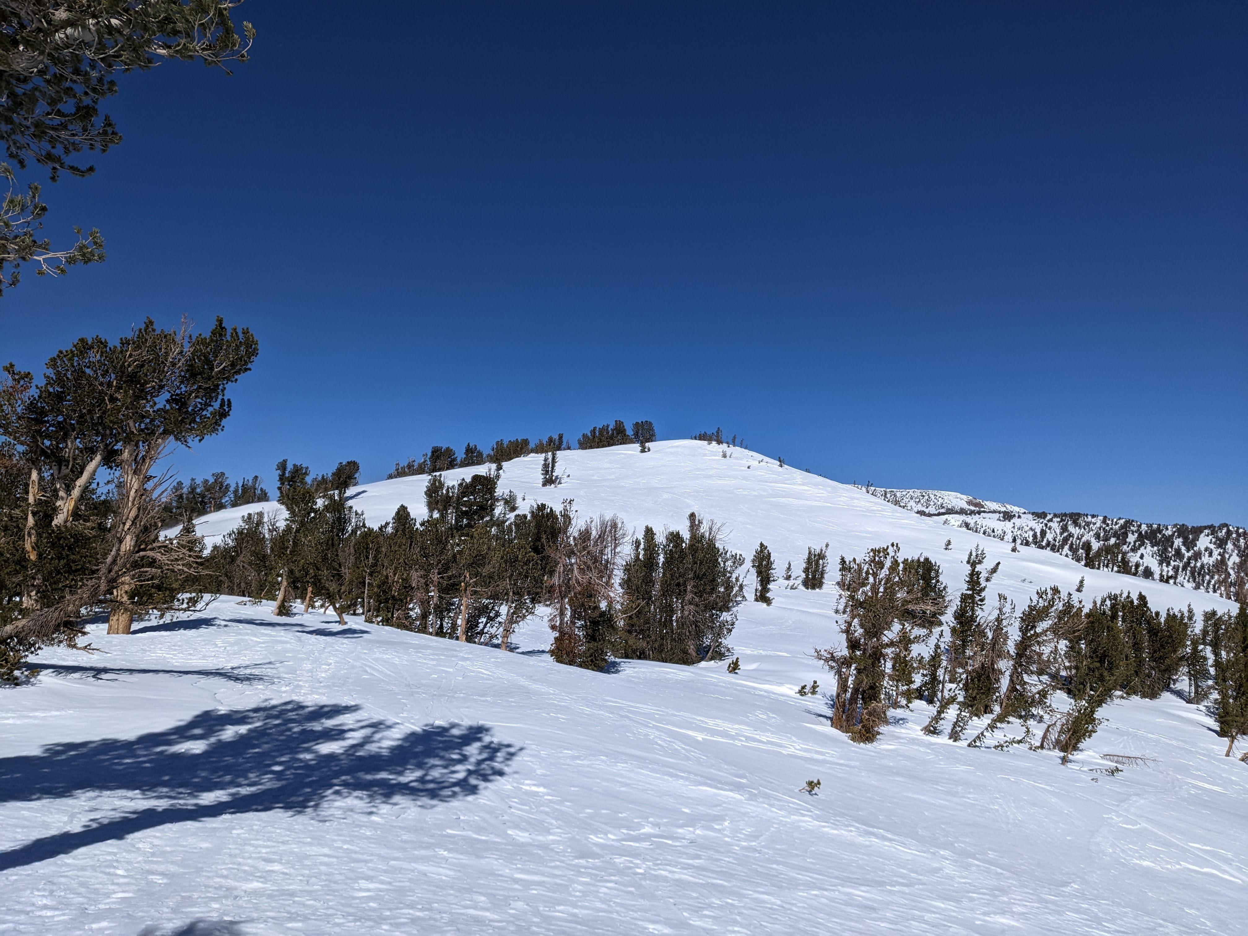 Tamarack mountain SOTA activation 2022-03-20