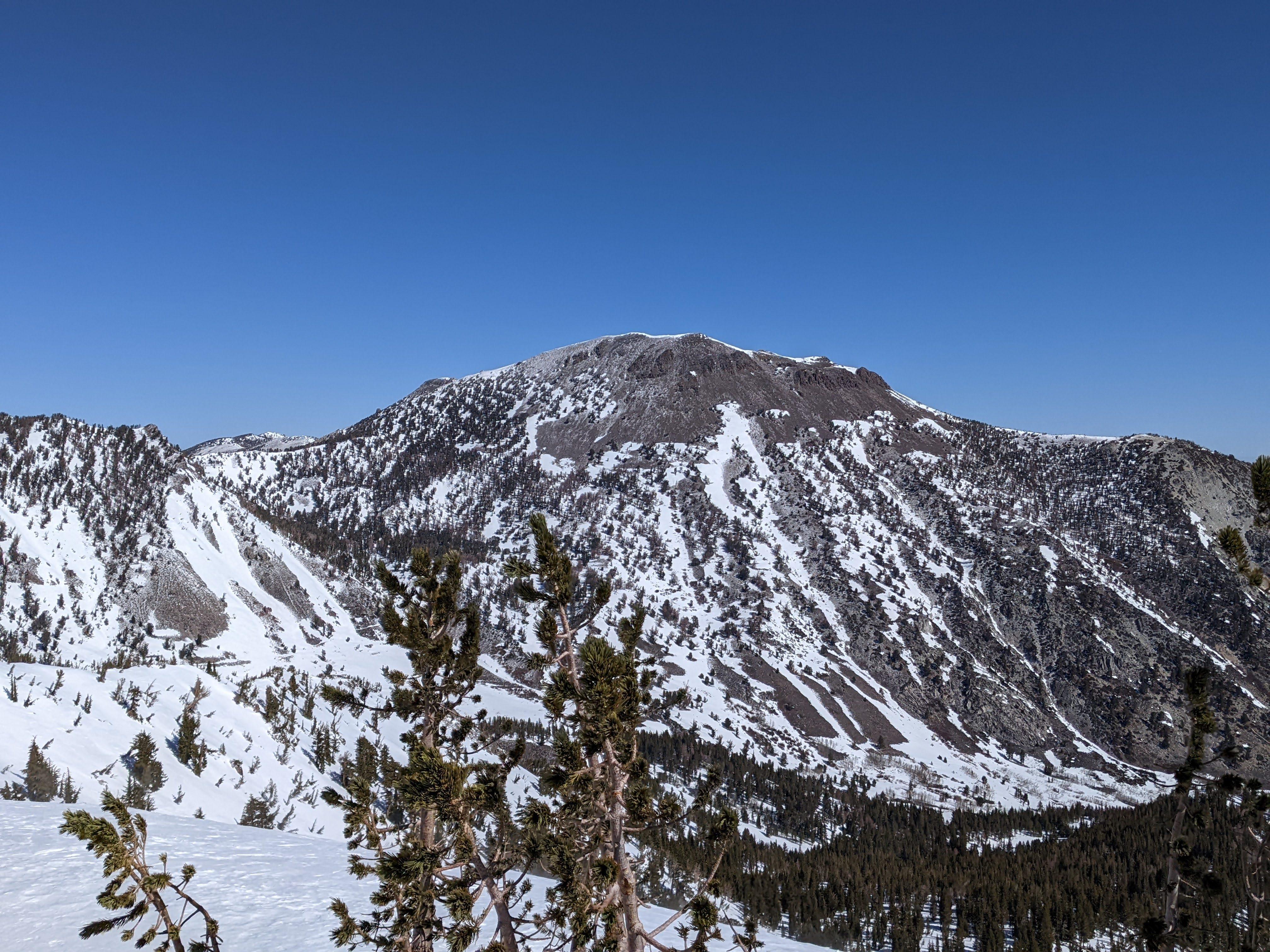 Mt. Rose as seen from Tamarack mountain