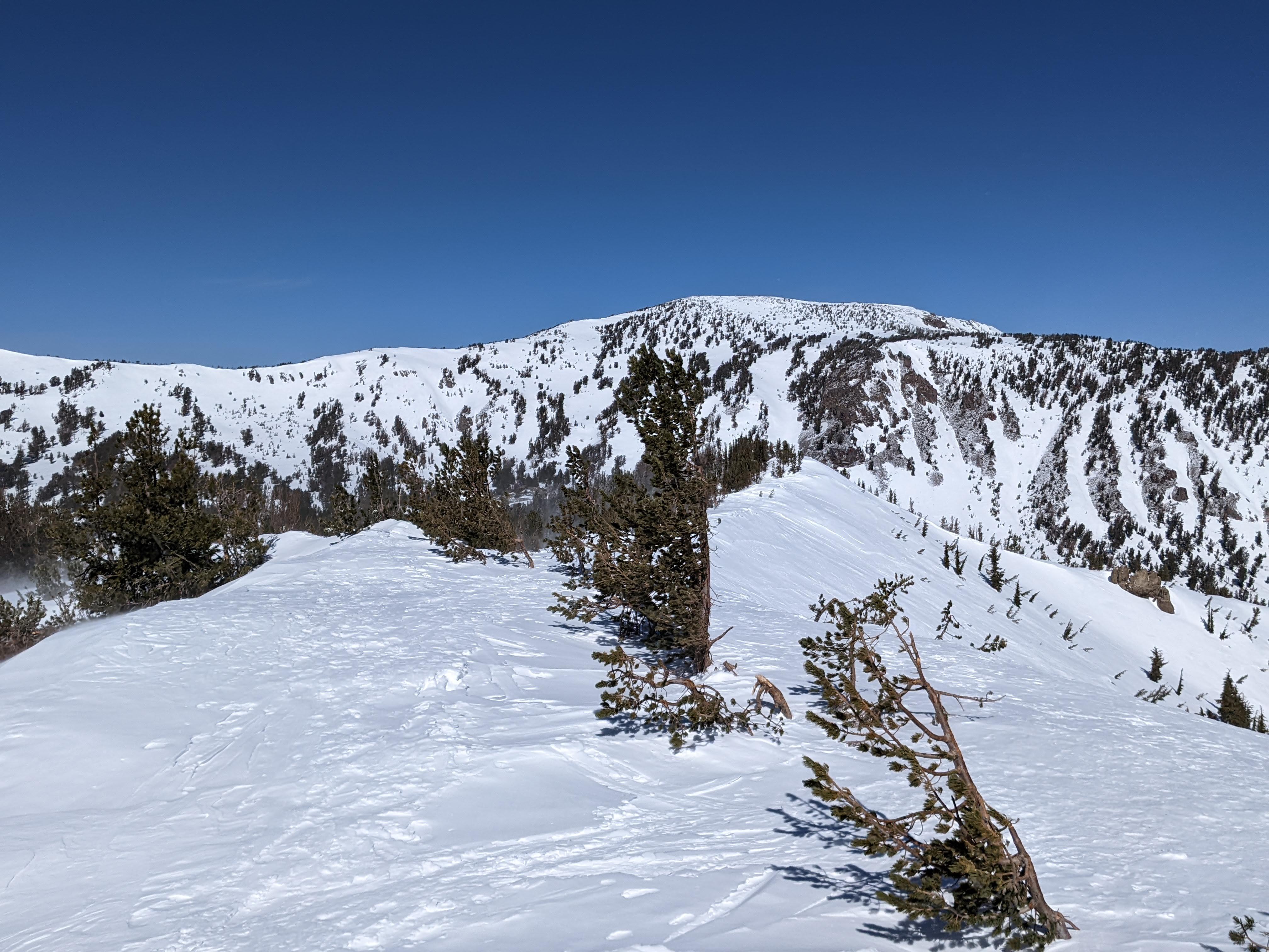 View from the summit to the north