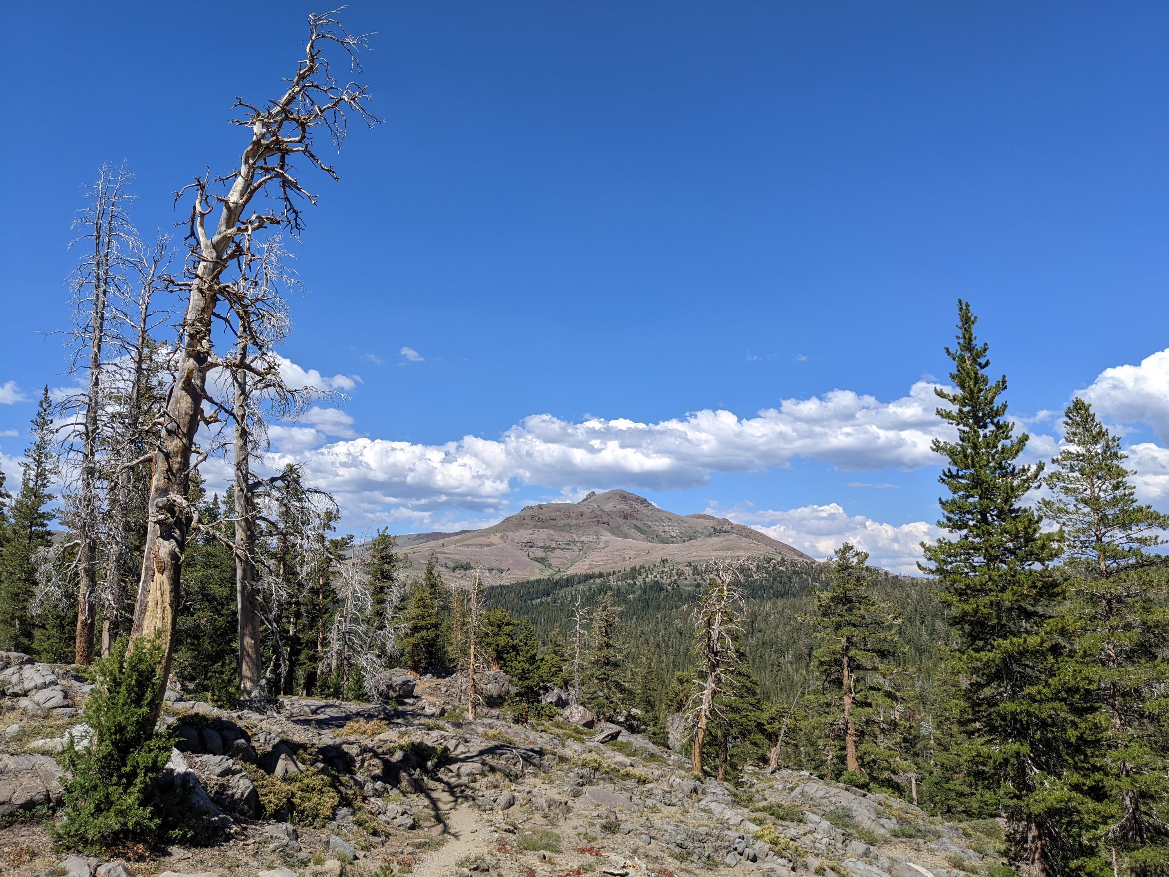 Near Woods Lake Campground