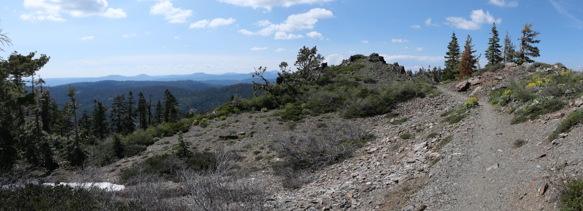 Panorama toward the north, from the ridge