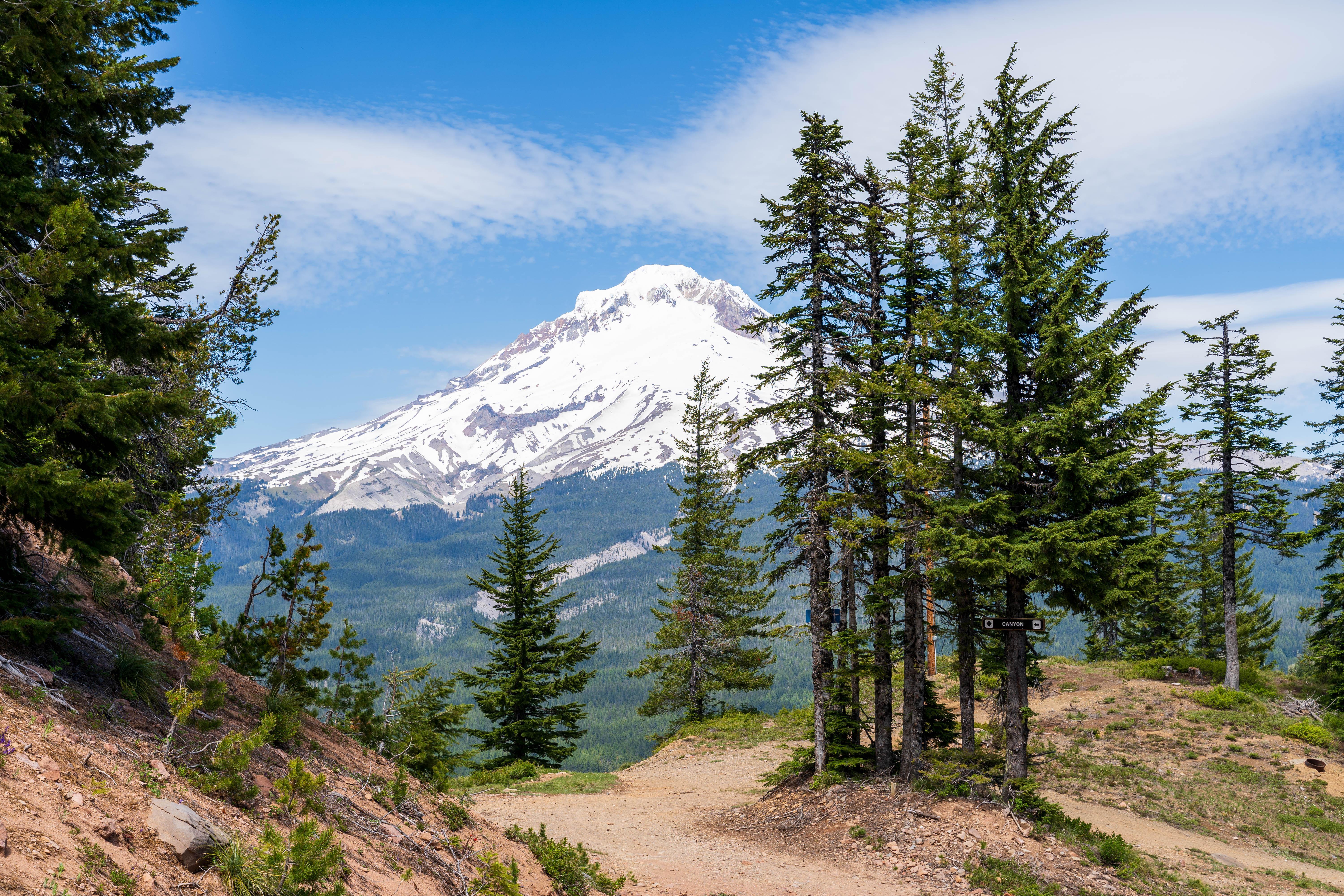 Mt. Hood view from Tom, Dick and Harry mountain