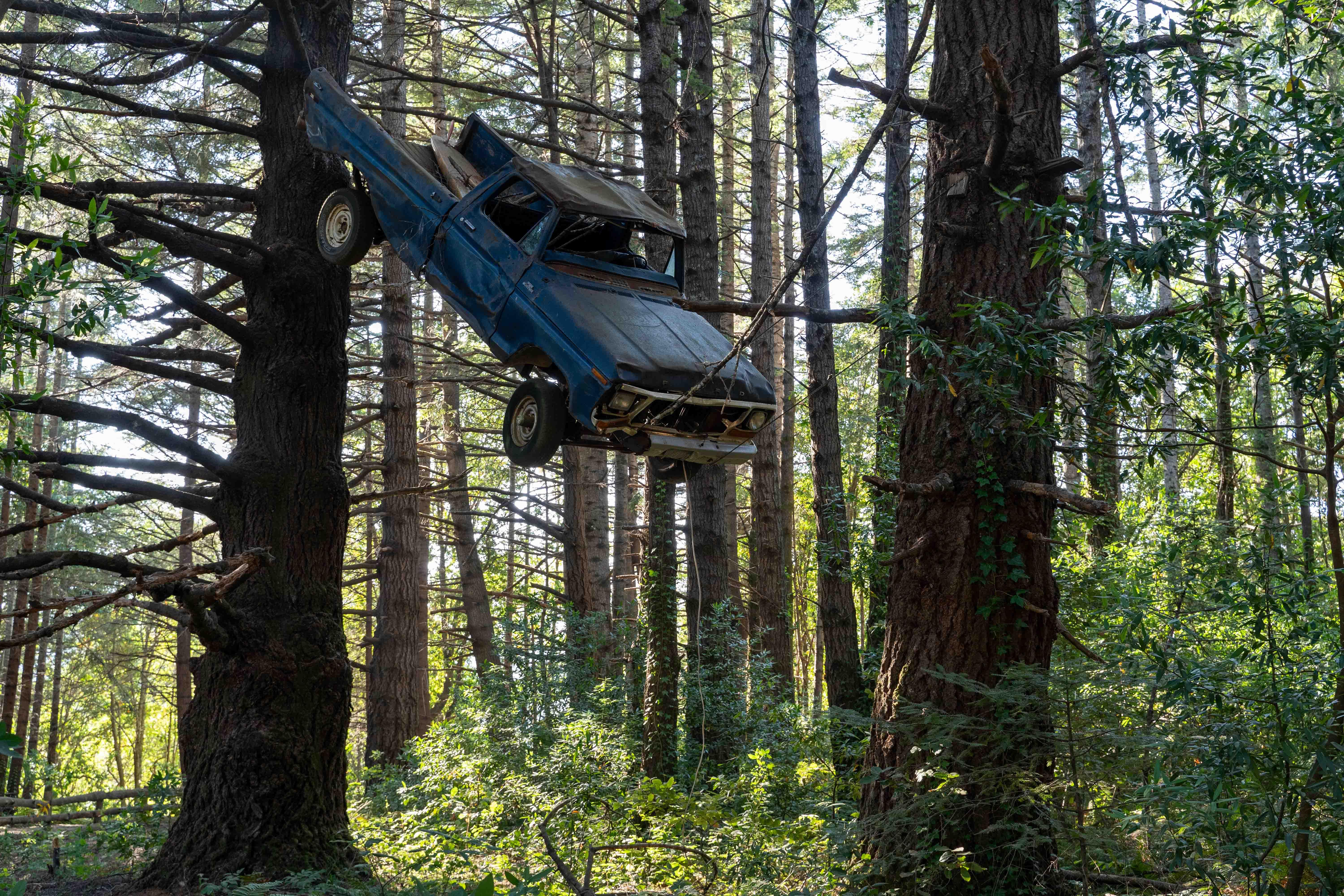 Truck-in-a-tree on the Lighthouse Road